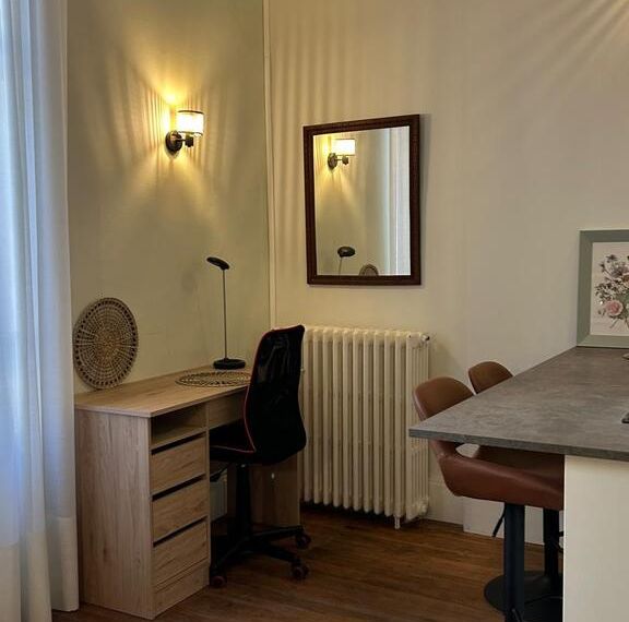 Très joli studio meublé à 2 pas du Lac d’Allier