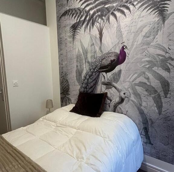 Très joli studio meublé à 2 pas du Lac d’Allier