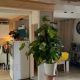 GRANDE MAISON FAMILIALE AVEC DEPENDANCES - ST GERAND LE PUY