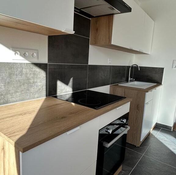 Cusset centre T2 entièrement refait à neuf