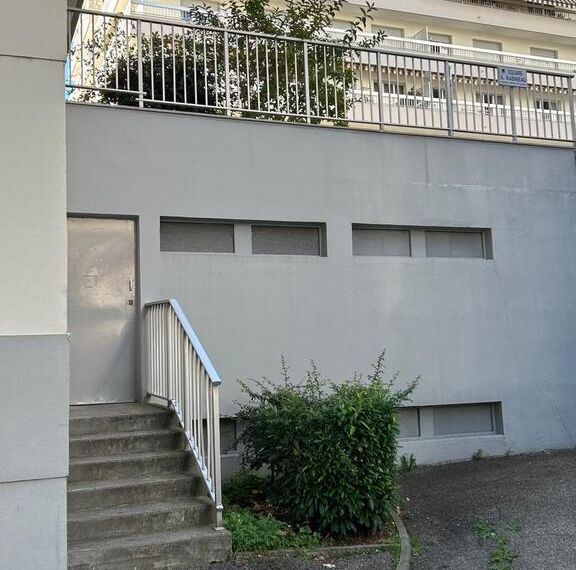 Cusset centre T2 entièrement refait à neuf